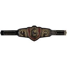 Roman Reigns Roman Reigns Autographed Tribal Chief Replica Championship Title Belt with "1,316 Days" Inscription - Limited Edition of 25 - Image 4
