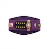 Sacramento Kings WWE Legacy Title Belt - Image 7