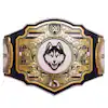 UConn Huskies WWE Legacy Title Belt - Image 2
